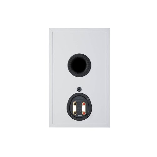 bronze-100-6g-white-2.jpg