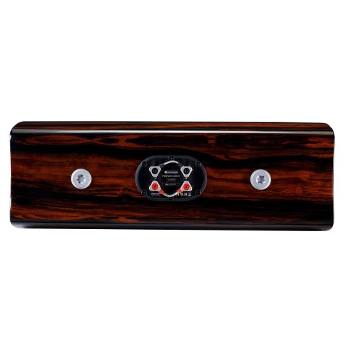 platinum-c250-3g-piano-ebony-2.jpg