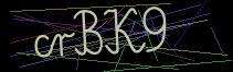 Token